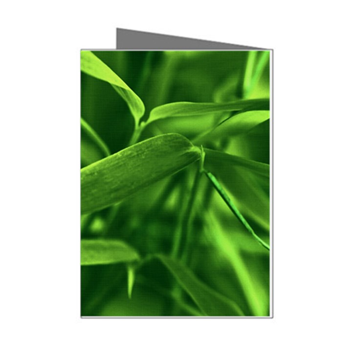 Bamboo Mini Greeting Card (8 Pack)