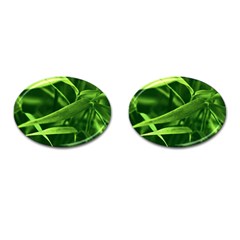 Bamboo Cufflinks (oval) by Siebenhuehner