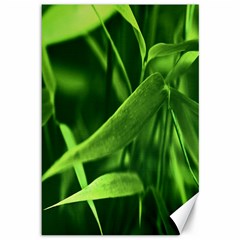 Bamboo Canvas 12  X 18  (unframed) by Siebenhuehner