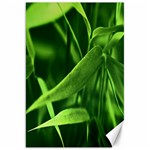 Bamboo Canvas 20  x 30  (Unframed) 19.62 x28.9  Canvas - 1