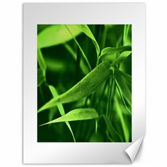 Bamboo Canvas 36  X 48  (unframed) by Siebenhuehner