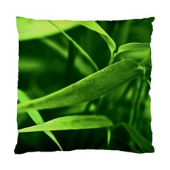 Bamboo Cushion Case (single Sided) 