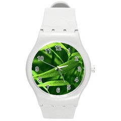 Bamboo Plastic Sport Watch (medium)