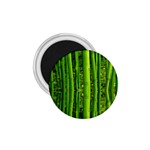 Bamboo 1.75  Button Magnet Front