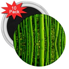 Bamboo 3  Button Magnet (10 Pack)