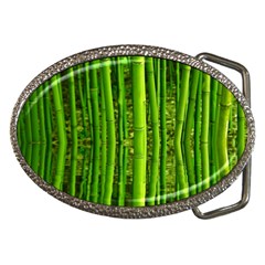 Bamboo Belt Buckle (oval) by Siebenhuehner