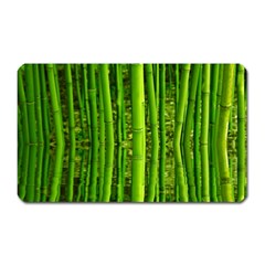 Bamboo Magnet (rectangular) by Siebenhuehner