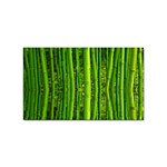 Bamboo Sticker 100 Pack (Rectangle) Front