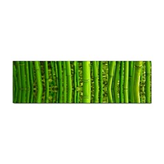 Bamboo Bumper Sticker 10 Pack by Siebenhuehner