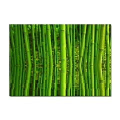 Bamboo A4 Sticker 10 Pack by Siebenhuehner