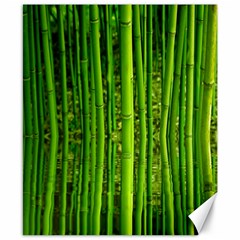 Bamboo Canvas 8  X 10  (unframed)