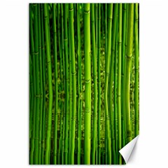 Bamboo Canvas 12  X 18  (unframed) by Siebenhuehner