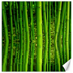 Bamboo Canvas 16  X 16  (unframed) by Siebenhuehner