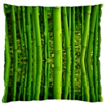 Bamboo Large Cushion Case (Single Sided)  Front