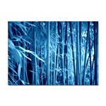 Blue Bamboo A4 Sticker 100 Pack Front