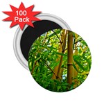 Bamboo 2.25  Button Magnet (100 pack) Front