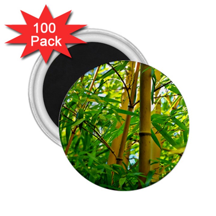 Bamboo 2.25  Button Magnet (100 pack)