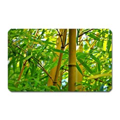 Bamboo Magnet (rectangular) by Siebenhuehner