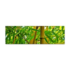 Bamboo Bumper Sticker 10 Pack by Siebenhuehner