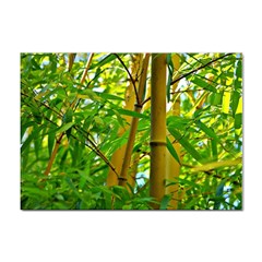 Bamboo A4 Sticker 100 Pack