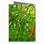 Bamboo Greeting Card Right