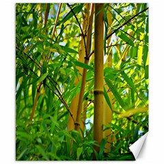 Bamboo Canvas 8  X 10  (unframed) by Siebenhuehner