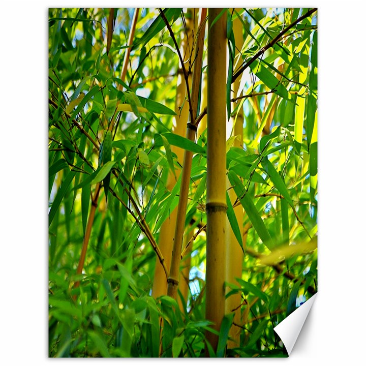 Bamboo Canvas 12  x 16  (Unframed)