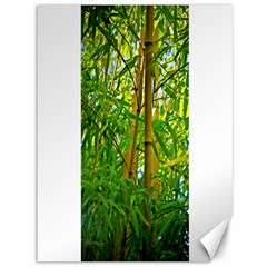 Bamboo Canvas 36  X 48  (unframed) by Siebenhuehner