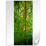 Bamboo Canvas 36  x 48  (Unframed) 35.26 x46.15  Canvas - 1