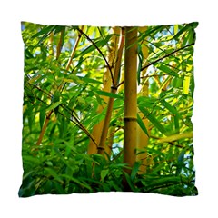 Bamboo Cushion Case (single Sided) 