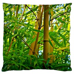 Bamboo Large Cushion Case (single Sided)  by Siebenhuehner