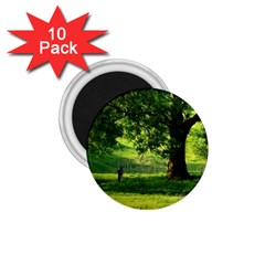 Trees 1 75  Button Magnet (10 Pack) by Siebenhuehner