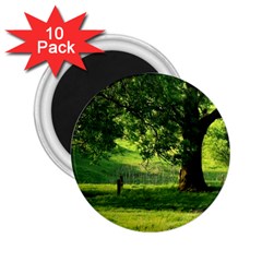 Trees 2 25  Button Magnet (10 Pack) by Siebenhuehner