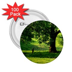 Trees 2 25  Button (100 Pack) by Siebenhuehner