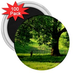 Trees 3  Button Magnet (100 Pack) by Siebenhuehner