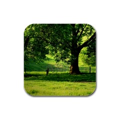 Trees Drink Coasters 4 Pack (square) by Siebenhuehner