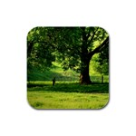 Trees Drink Coasters 4 Pack (Square) Front