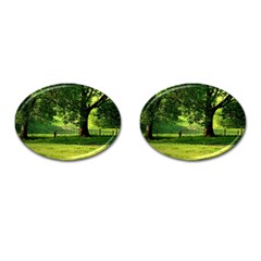 Trees Cufflinks (oval)