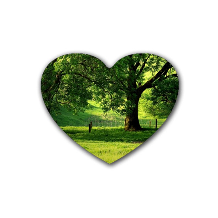 Trees Drink Coasters 4 Pack (Heart) 