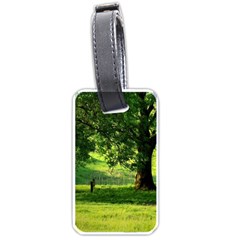 Trees Luggage Tag (one Side) by Siebenhuehner