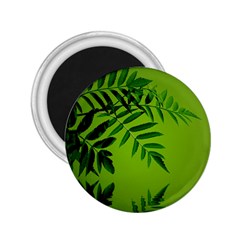 Leaf 2 25  Button Magnet by Siebenhuehner