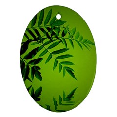 Leaf Oval Ornament by Siebenhuehner