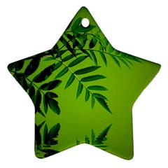 Leaf Star Ornament by Siebenhuehner