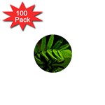 Leaf 1  Mini Button (100 pack) Front