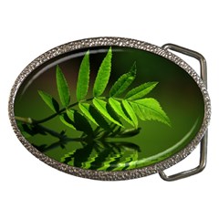 Leaf Belt Buckle (oval) by Siebenhuehner