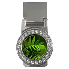 Leaf Money Clip (cz) by Siebenhuehner