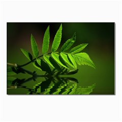 Leaf Postcard 4 x 6  (10 Pack) by Siebenhuehner