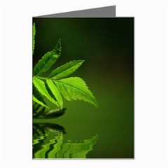 Leaf Greeting Card by Siebenhuehner