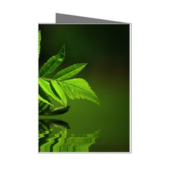 Leaf Mini Greeting Card (8 Pack) by Siebenhuehner