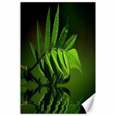 Leaf Canvas 24  X 36  (unframed)